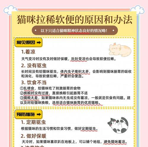 猫咪换粮后软便细长怎么办？