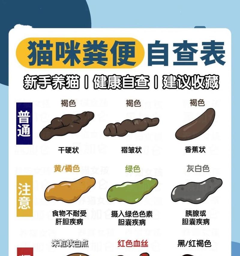 猫咪换粮后软便细长怎么办？