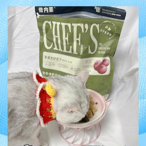 小麒麟三儿子适合吃什么猫粮？如何选择合适的猫粮？