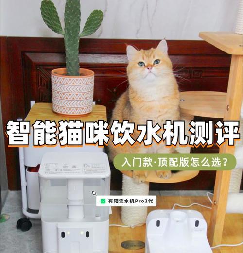 流动饮水机如何与猫粮搭配使用？