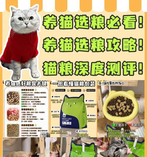 瑞尔鲜奶猫粮的质量如何？瑞尔鲜奶猫粮的评价怎么样？