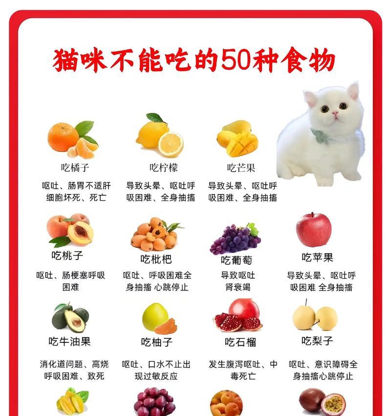 猫咪为何不能过早吃猫粮？