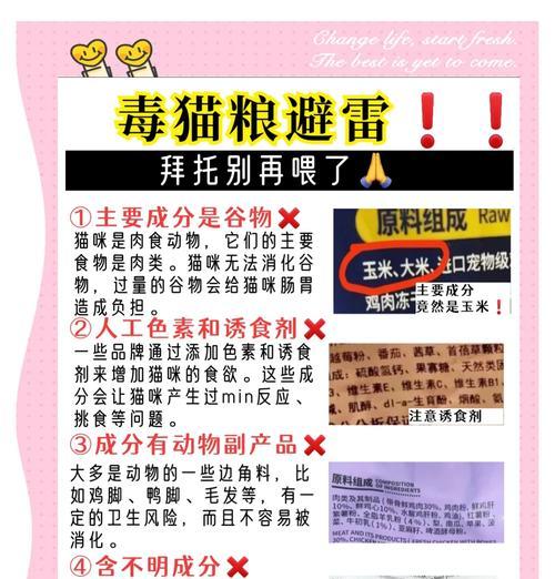 猫碗里长期放猫粮好吗？如何避免猫粮变质？