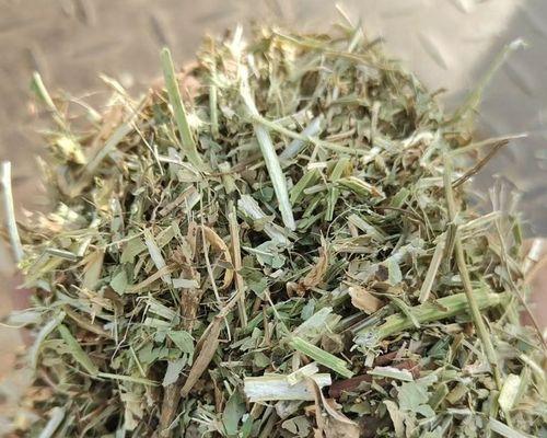 羊驼适宜的饲料种类有哪些？
