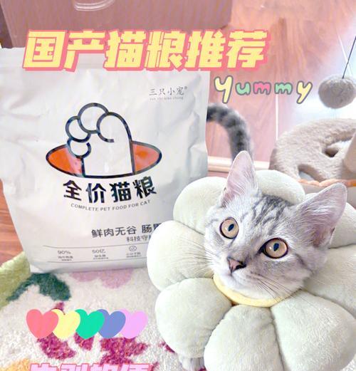 小猫吃完猫粮没有猫粮怎么办？应该立即补充还是等待？