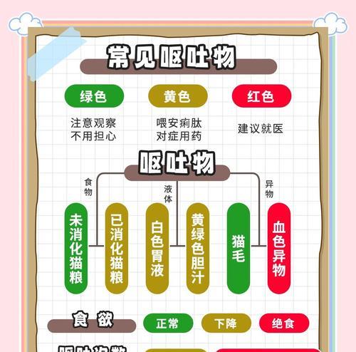 猫咪长期呕吐猫粮怎么办？吃什么药可以缓解？