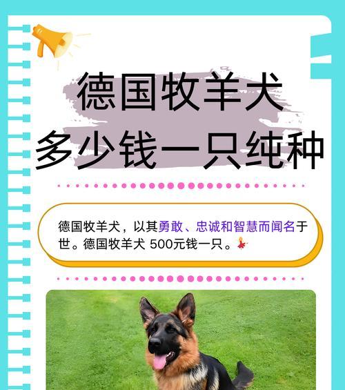带德牧去大理旅行可行吗？需要多少费用？