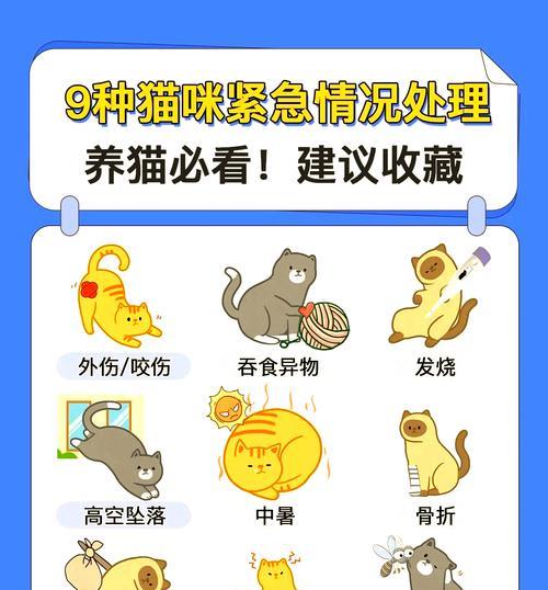 猫咪吃猫粮时常卡住是怎么回事？如何预防和处理？