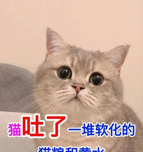 为什么闻到猫粮会感到恶心？这种反应正常吗？