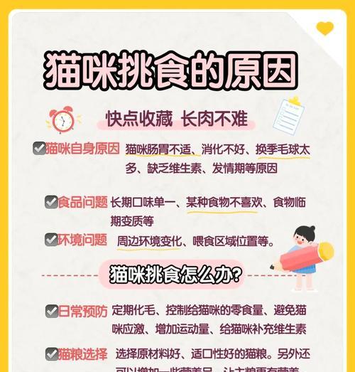 如何处理挑食或“很贱”的猫咪的猫粮问题？