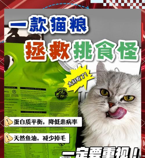 猫咪为何喜欢吃沾水的猫粮？
