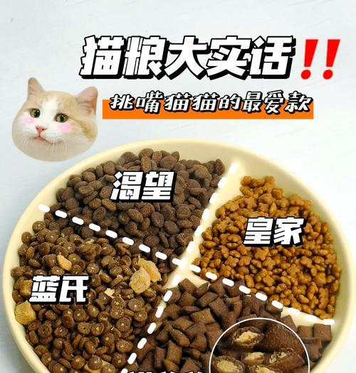 猫咪为何喜欢吃沾水的猫粮？