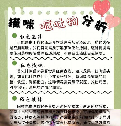 德文猫换粮呕吐怎么办？解决方法和预防措施？