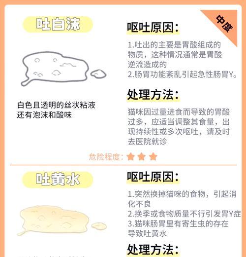德文猫换粮呕吐怎么办？解决方法和预防措施？
