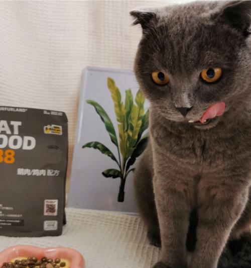 大鹅偷吃猫粮怎么阻止？如何防止大鹅接近猫粮？