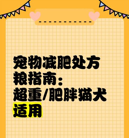 猫粮能吃但猫咪偏瘦应该怎么办？