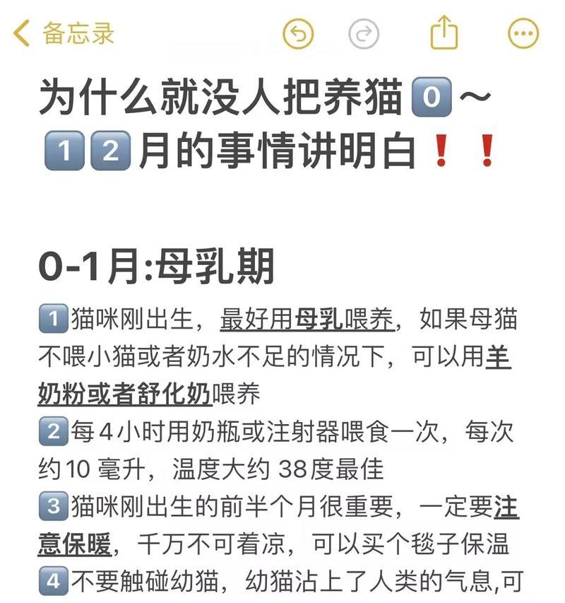 猫咪孕期如何选择催奶猫粮？正确的喂食方法是什么？