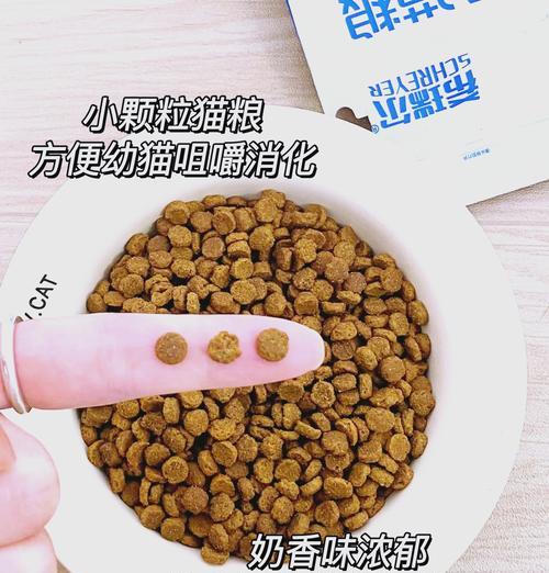 三月龄猫咪如何正确过渡到成猫粮？