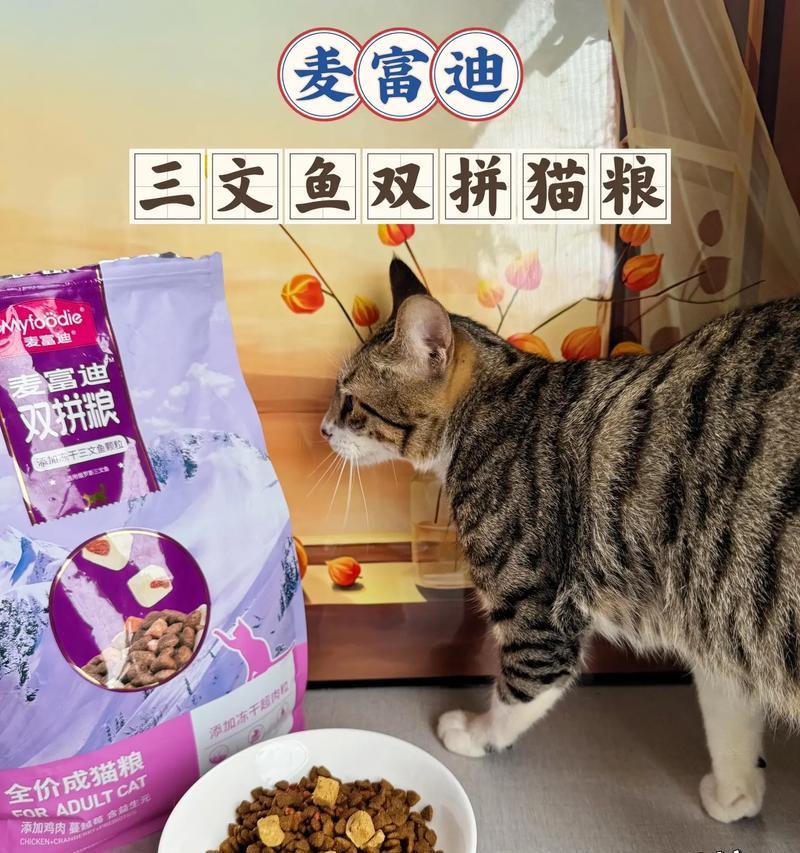 三个月大的猫咪应该吃什么猫粮？推荐有哪些？