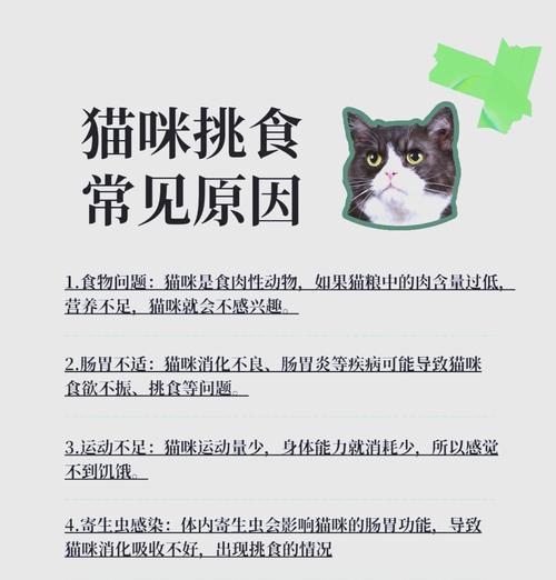 猫咪拒绝生食猫粮怎么办？