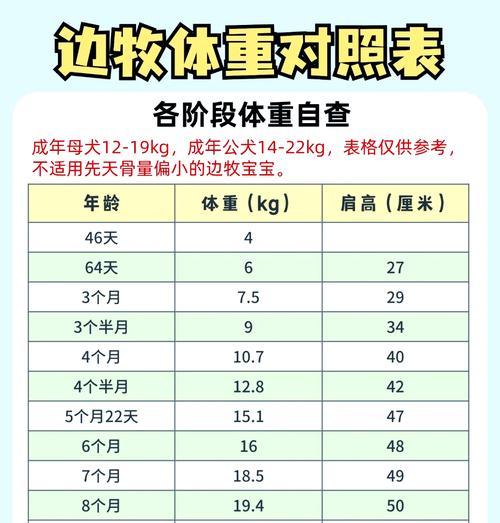 成年母德牧的标准体重范围是多少？