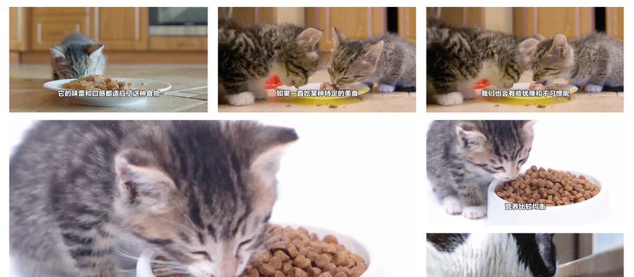猫咪喜欢吃猫粮拌奶吗？如何处理猫粮拌奶的问题？