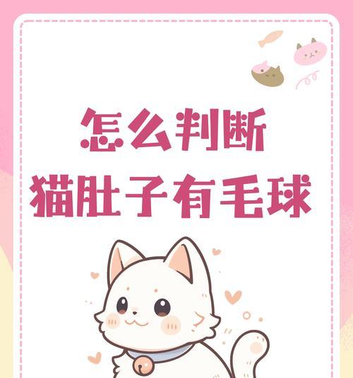 猫粮漏气应该检查哪些方面？
