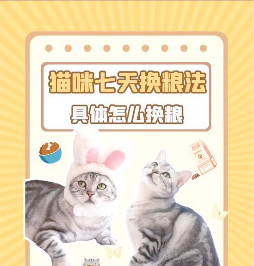 如何正确过渡换猫粮？步骤是什么？
