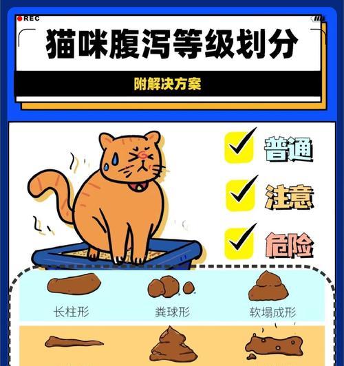 猫咪便秘时如何调整猫粮摄入？