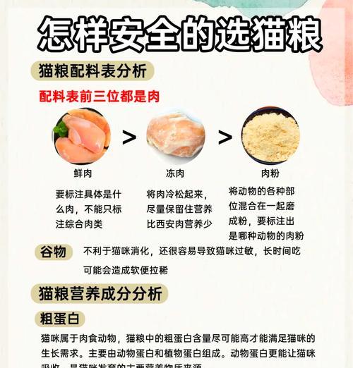 如何为加白猫咪挑选合适的猫粮？