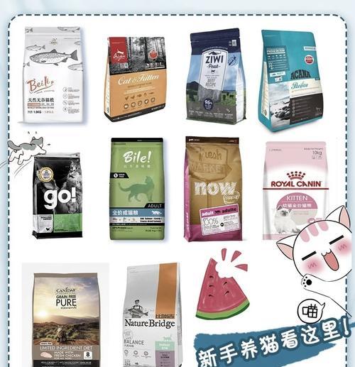 如何为加白猫咪挑选合适的猫粮？
