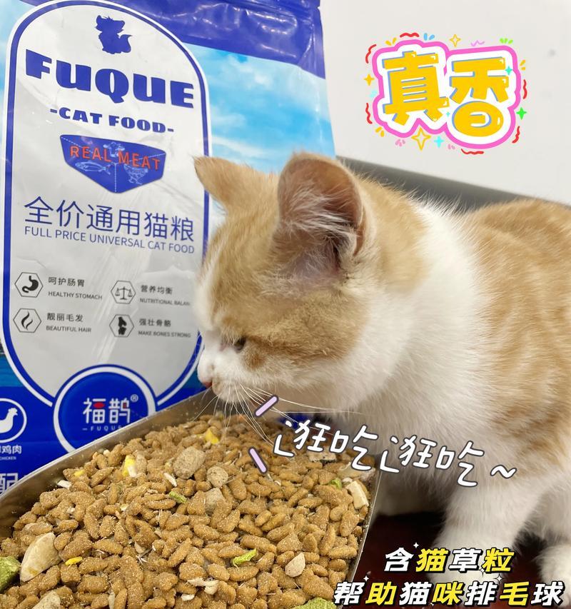 哪种猫粮最适合喂流浪猫？