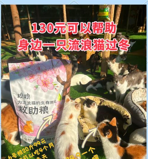 哪种猫粮最适合喂流浪猫？