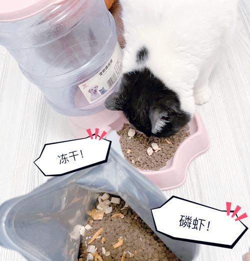 豆哥不推荐冻干猫粮的原因是什么？冻干猫粮有何缺点？