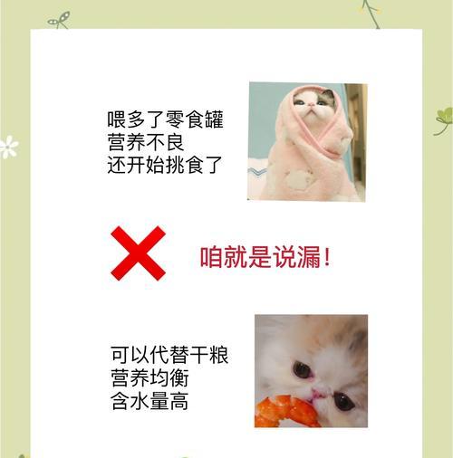 猫粮和猫罐头如何搭配喂食？怎样喂食才能保证营养均衡？
