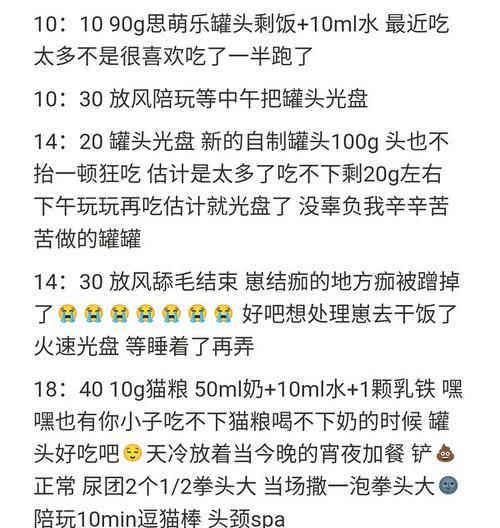 猫粮自动出粮网红猫怎么办？如何控制食量？