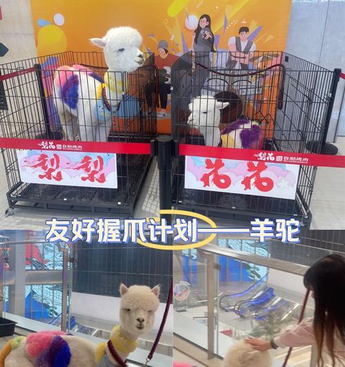 如何正确抓取大羊驼娃娃？技巧是什么？
