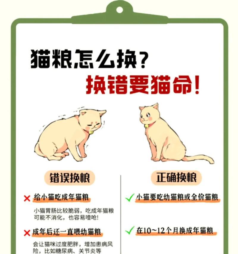 如何让猫咪重新接受猫粮？