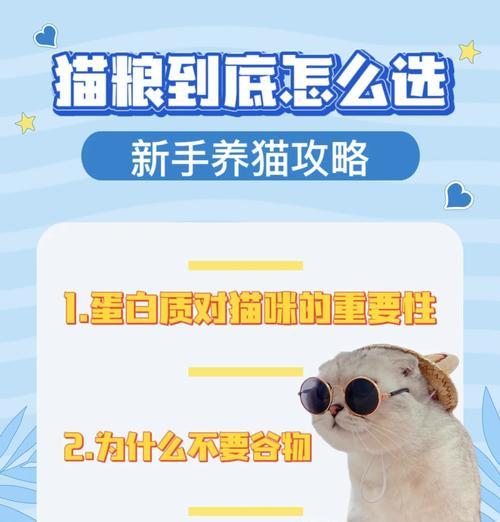 如何让猫咪重新接受猫粮？