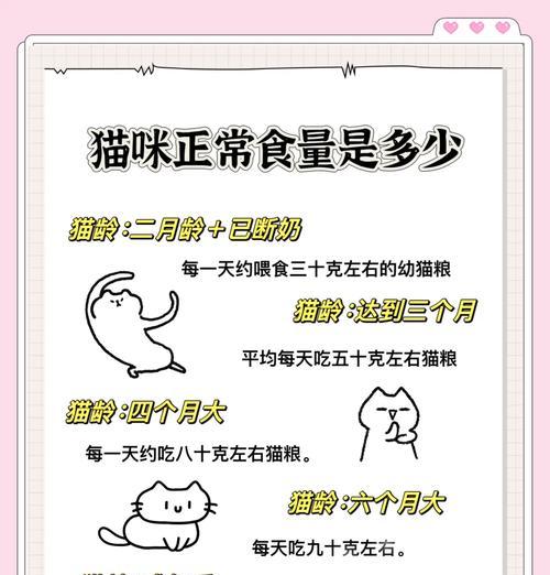 家猫每天应该吃多少猫粮？正确的喂食方法是什么？