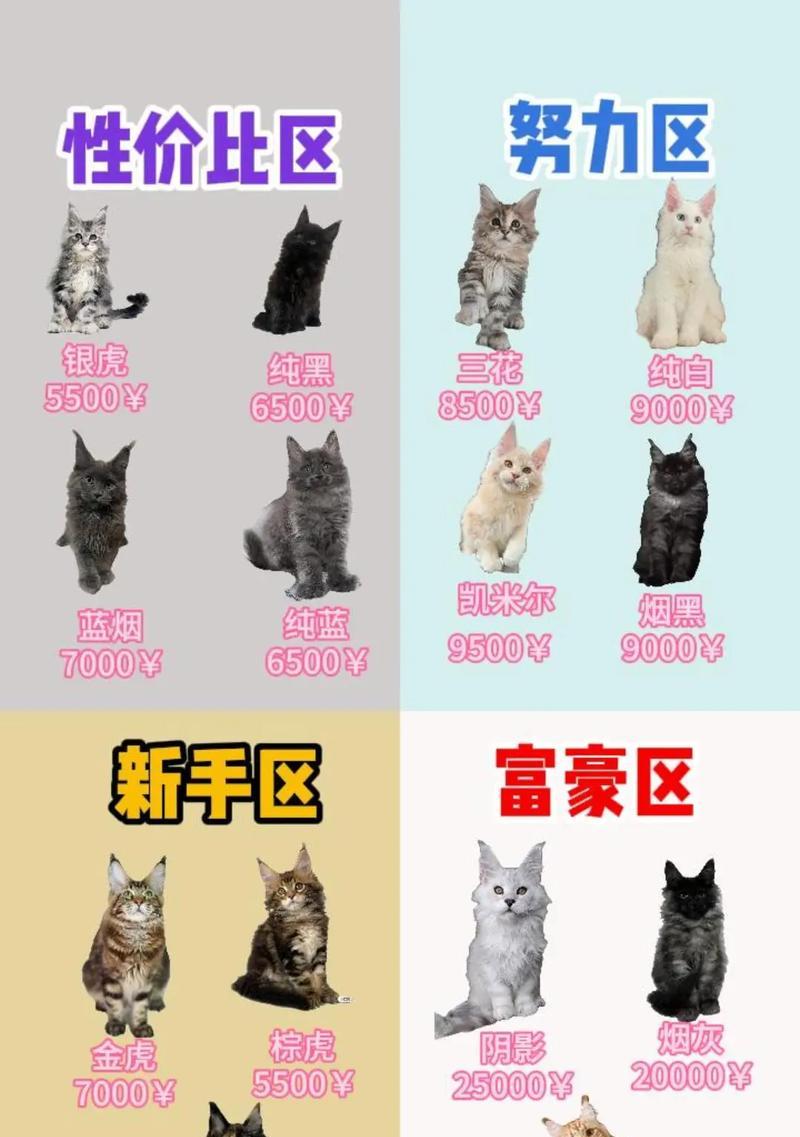 缅因吃什么猫粮胖的快些？哪种猫粮更适合缅因猫增重？