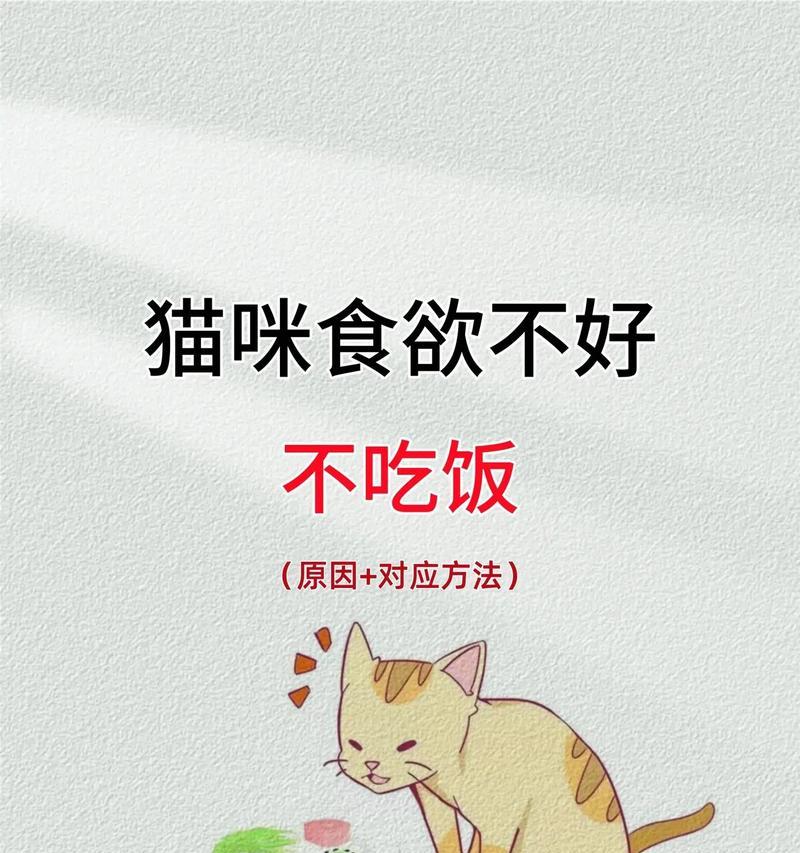 猫不主动吃饭怎么办？强行喂食猫粮是否可行？