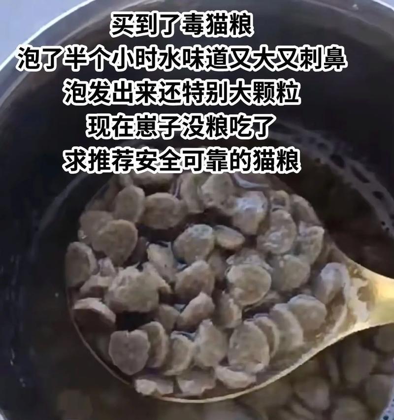 猫粮用肉汤泡会变质吗为什么？正确的猫粮泡法是什么？