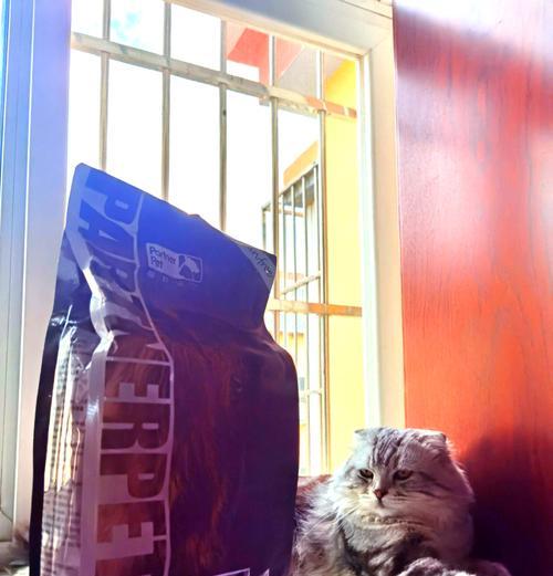 牛肉猫粮搭配什么食物既美味又营养？推荐搭配有哪些？