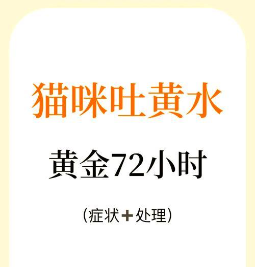 猫吐黄水后多久可以再次喂食猫粮？
