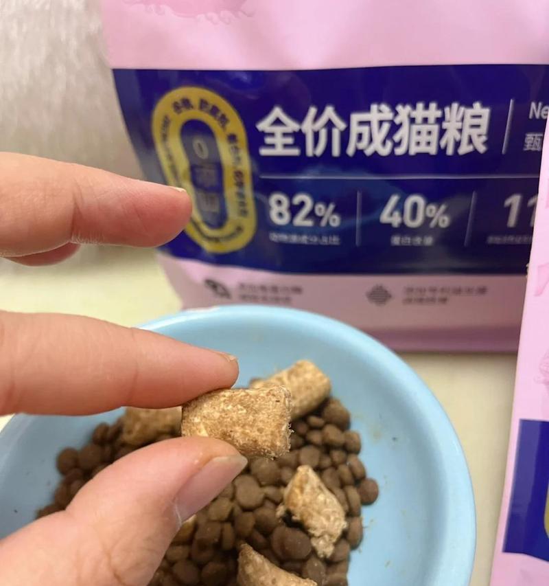 猫吐黄水后多久可以再次喂食猫粮？