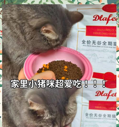母猫嗷嗷叫时应选择哪种猫粮？如何安抚叫声频繁的母猫？
