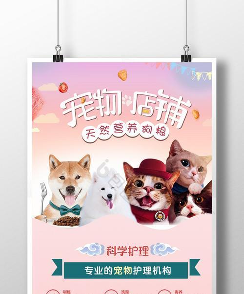 磐石哪里买猫粮更经济实惠？有哪些推荐的店铺？