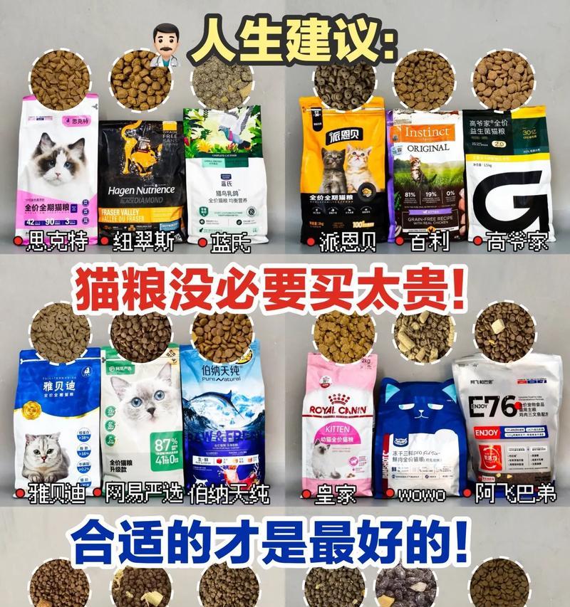 猫粮什么味儿最受欢迎？怎么挑选适合猫咪的口味？