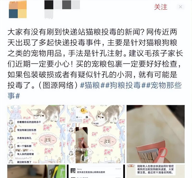最近猫粮投毒事件频发？如何确保宠物安全？